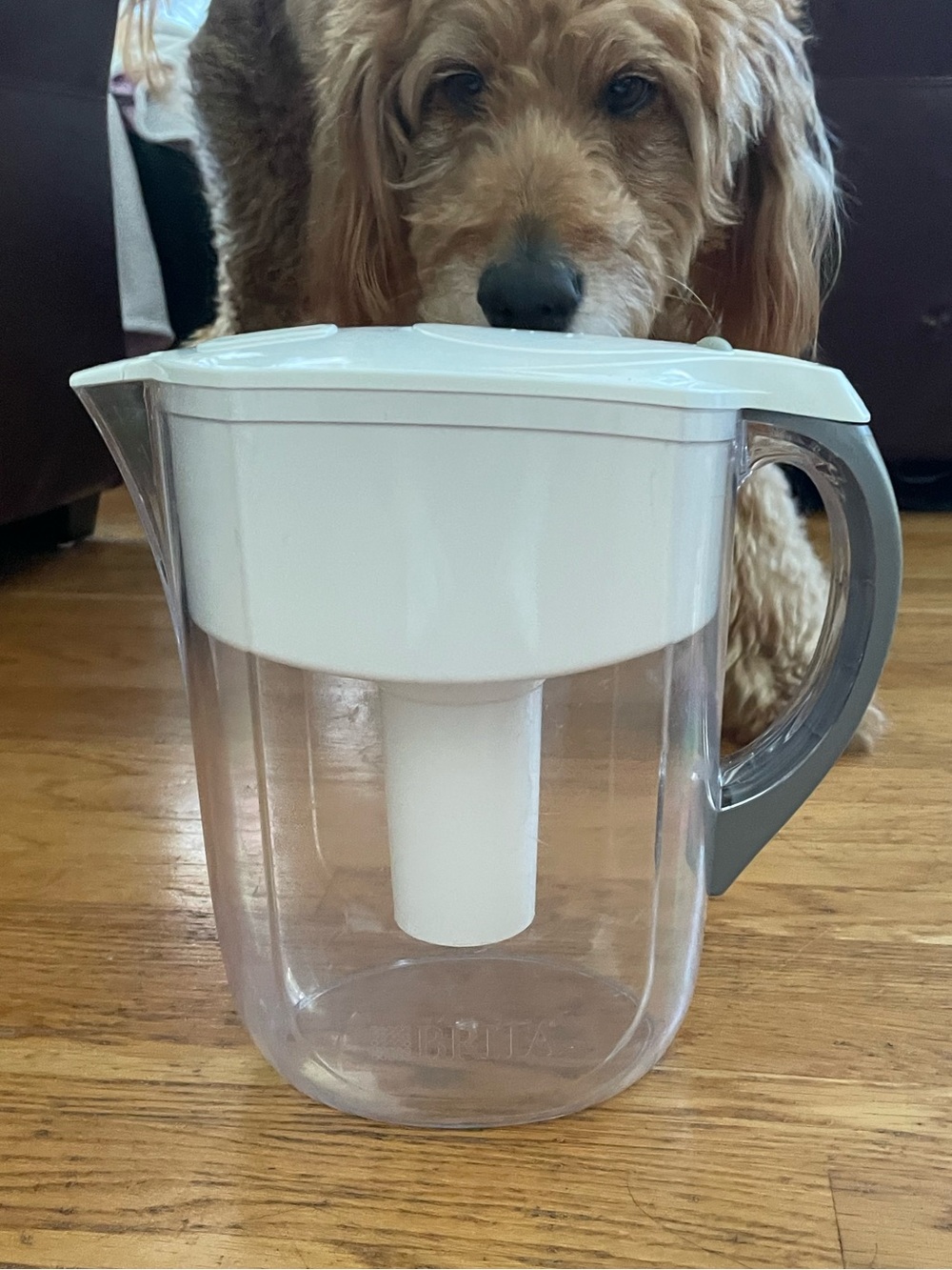 Brita White and Gray Water Filter Pitcher - Clear Reservoir